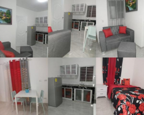 App Urena Mardirossian, Punta Cana
